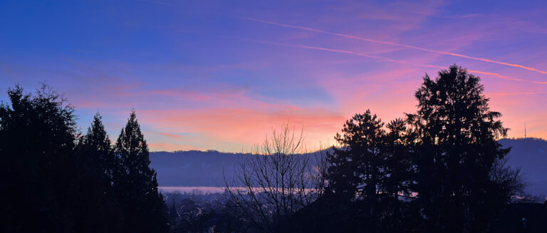Aussicht von der Praxis für Psychotherapie und Psychiatrie WeTreat auf den Zürichsee.