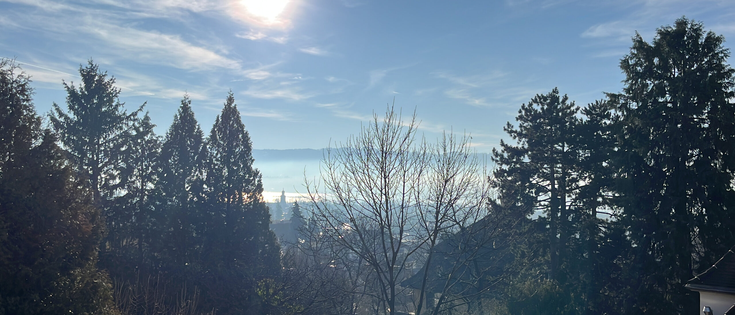 Aussicht auf den Zürichsee vom Ambulatorium für Psychiatrie und Psychotherapie WeTreat in Zürich, Hottingen, Sonnenbergstrasse, Zürichberg.