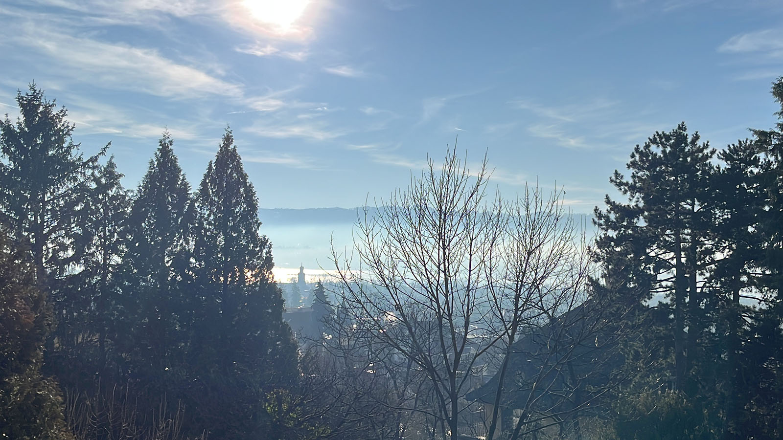 Aussicht: Zürichsee